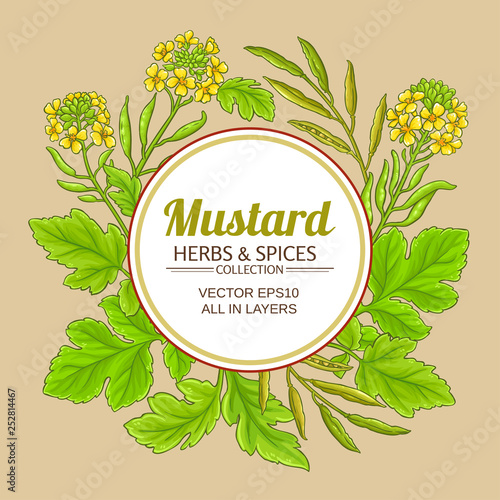 mustard vector frame