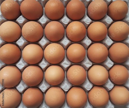 Eggs arranged side by side.