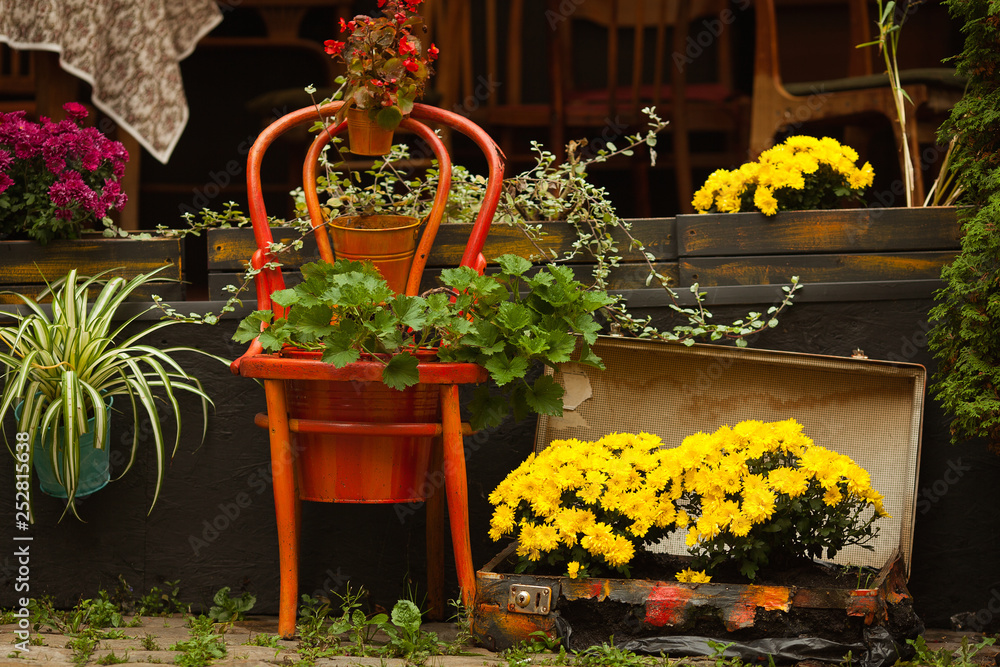 Fototapeta premium Autumn flowers in pots on wooden antiquarian chair and in multicolored suitcase for traveling near facade of hipster cafe in european city. Outdoor shot