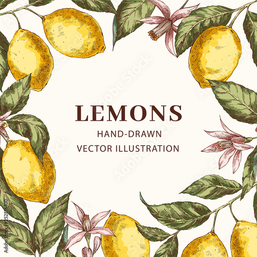 Lemon hand drawn circle frame with copy space template