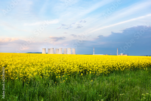 Yellow rapeseed field with cooling towers of nuclear power plant in background