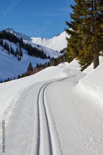 Winterwanderung_4661 photo