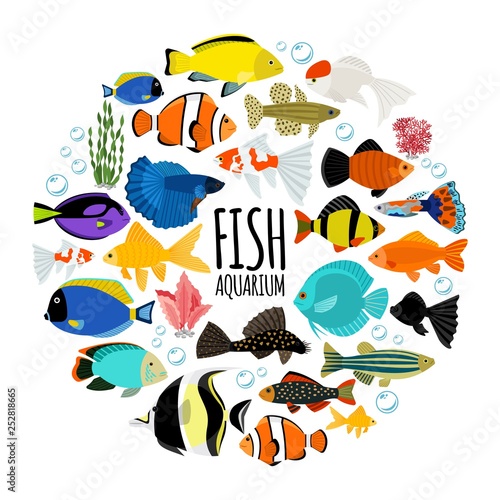 Flat Aquarium Fishes Round Concept