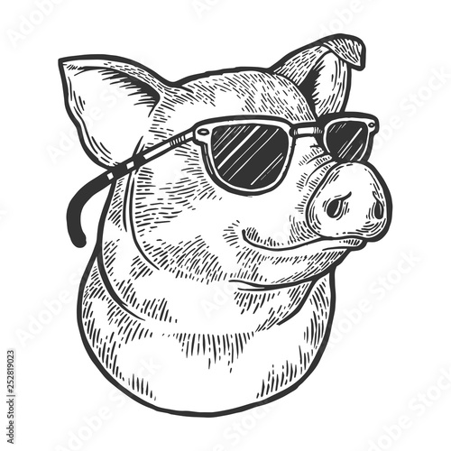 Pig animal in sunglasses sketch engraving vector illustration. Scratch board style imitation. Black and white hand drawn image.