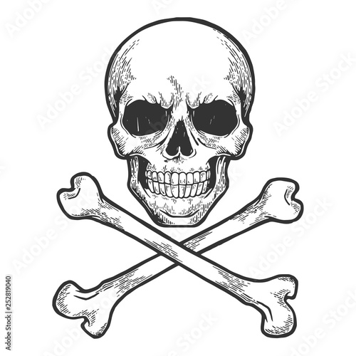 Skull with crossed bones. Pirate symbol Jolly Roger sketch engraving vector illustration. Scratch board style imitation. Hand drawn image.