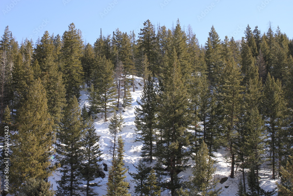 Colorado Landscape