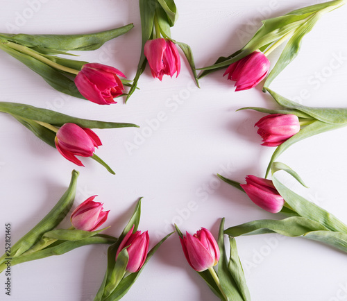 Fototapeta Naklejka Na Ścianę i Meble -  Closeup on beautiful pink tulips