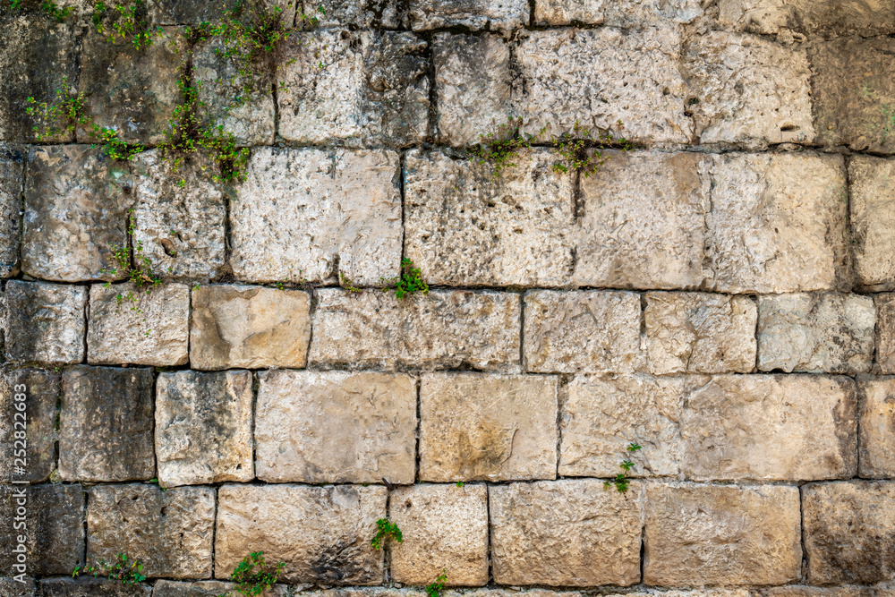 Outdoor front view of a old worn weathered sandstone brick wall with creeper plants. Outdoor front view of a old worn weathered sandstone brick wall with creeper plants.
