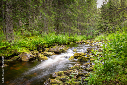 Beautiful and peaceful scene with a forest stream with moss rocks in green surroundings.