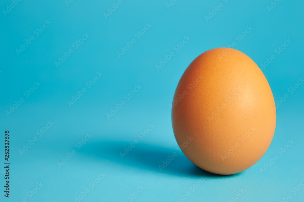 chicken eggs chicken eggs