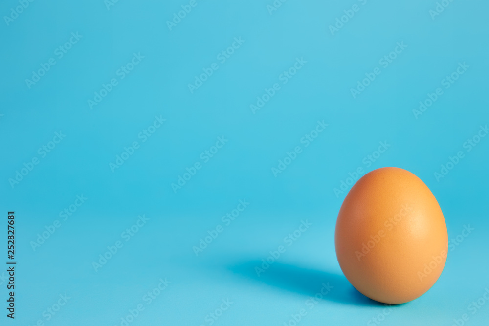 chicken eggs chicken eggs