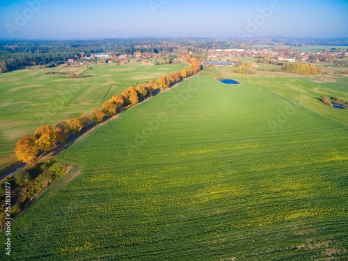 Country road with colorful maple trees through the hilly terrain during the autumn season, Pozezdrze town in the background, Mazury, Poland