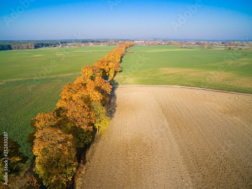 Country road with colorful ...