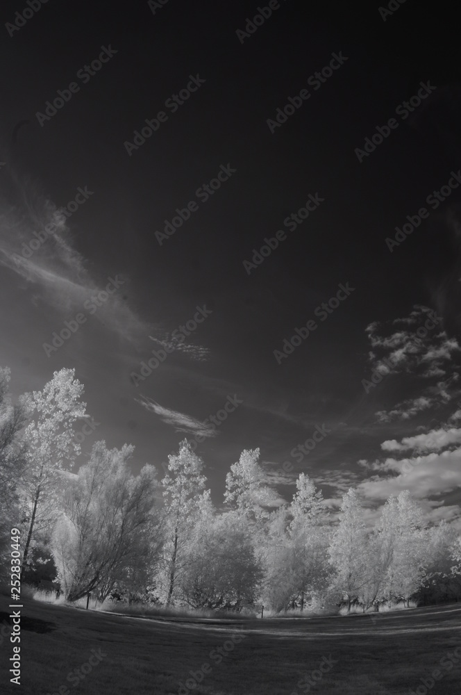 Obraz premium Castle in infra red