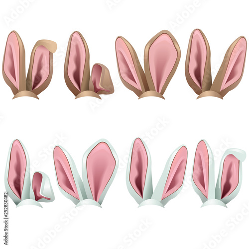 Vector Rabbit Ears Icons