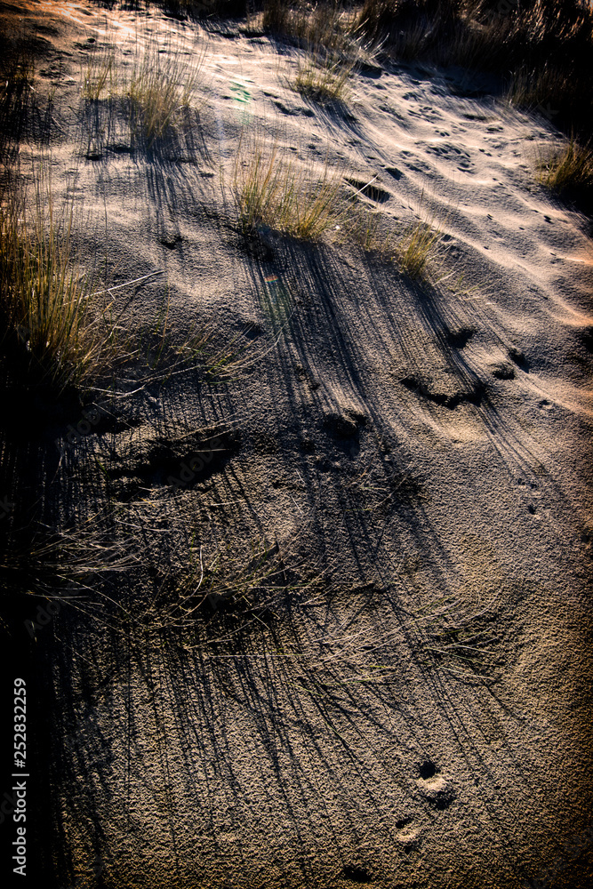 Naklejka premium sand silhouettes