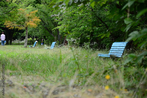 公園