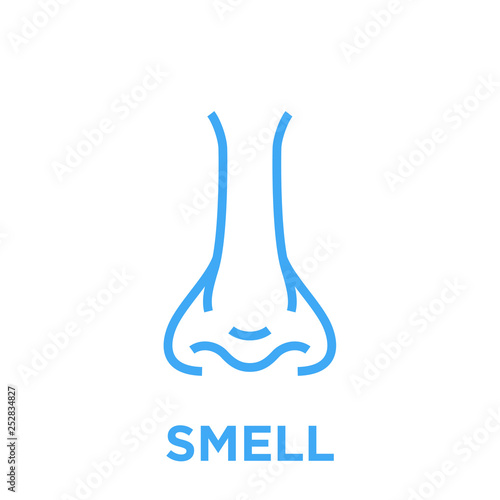 Female nose icon. Smell symbol. Human nasal breath sign. Blue vector graphic line style illustration isolated on white background.