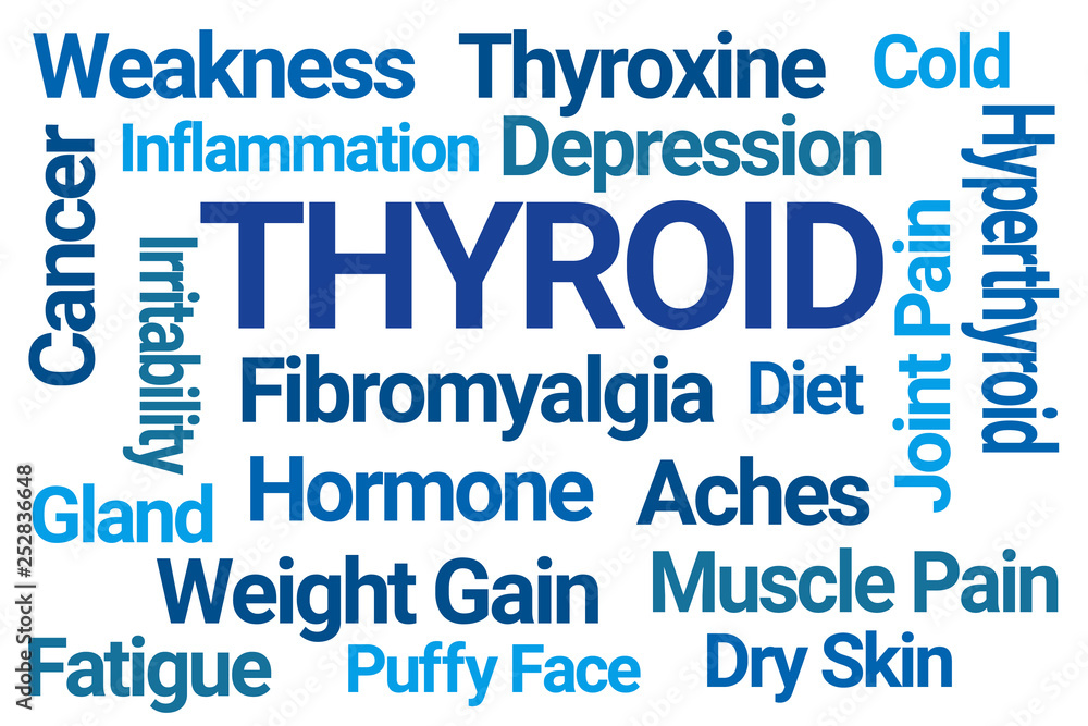 Thyroid Word Cloud on White Background Thyroid Word Cloud on White Background