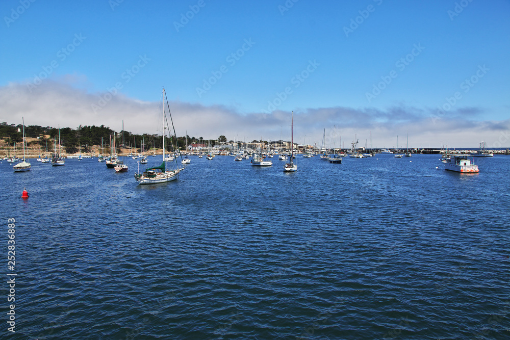 Monterey, California, Pacific ocean, USA