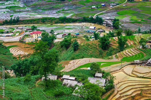 Agriculture Green Rice fields and rice terraced on mountain at SAPA, Lao Cai, Mu Cang Chai, Vietnam. The most of area is rice terraced. nature and landscape rice fields © kiet