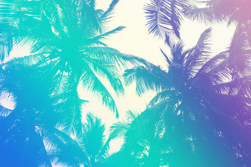 Colorful tropical 90s/80s style palm tree jungle background texture with pink, turquoise gradient