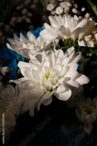 bouquet of flowers on black background