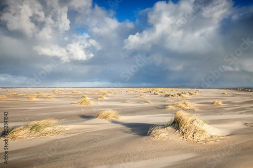 small dunes and grass on windy North sea beach