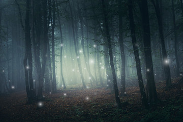fantasy forest scene with magical sparkles on mysterious path