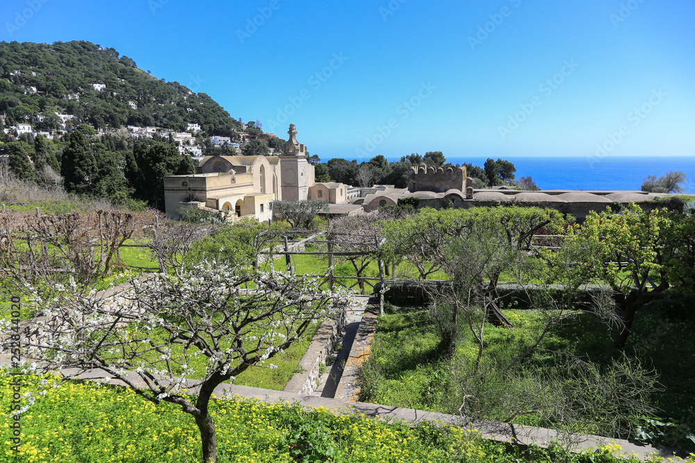 Capri Amalfi Küste: Blühende und duftende Gärten vor dem Kloster San Giacomo auf der Insel Capri