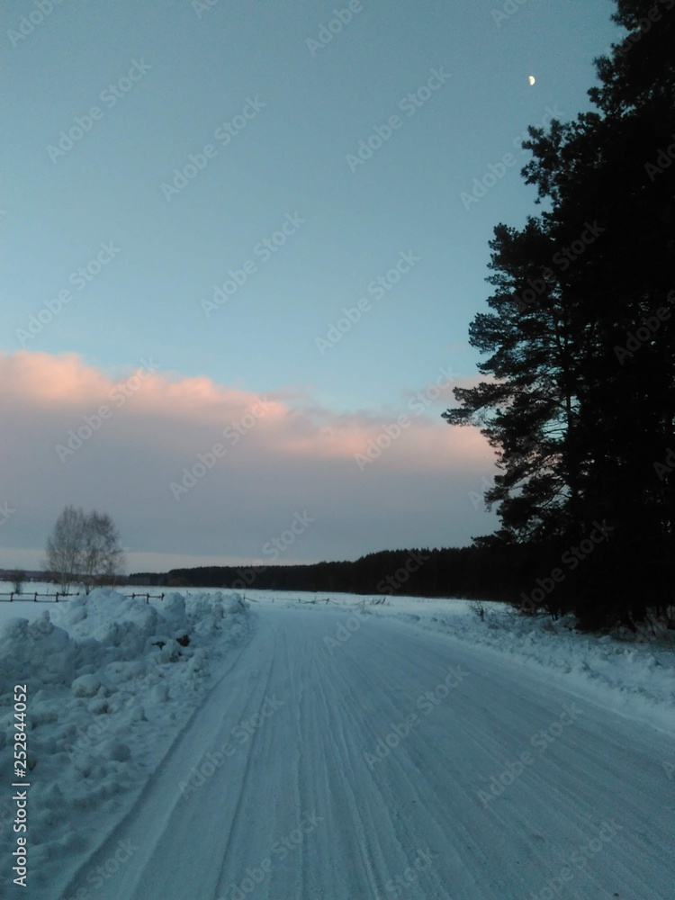 Fototapeta premium Winter