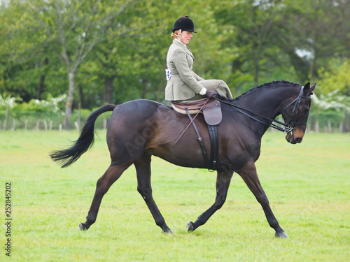 Side Saddle photo