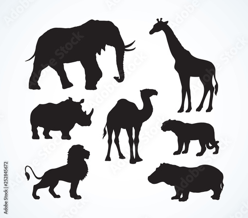 African animals. Vector drawing