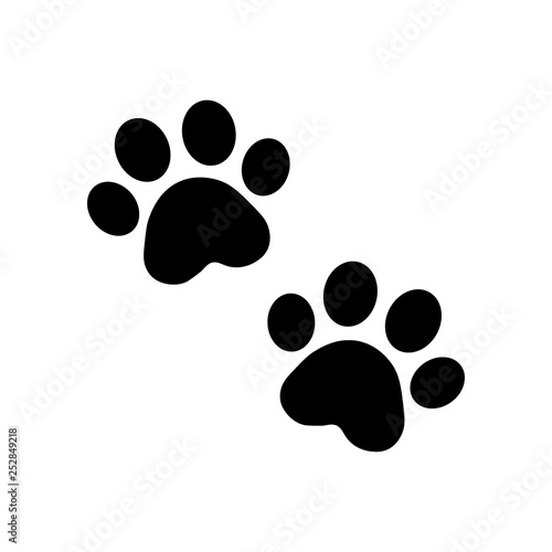dog paw vector photo