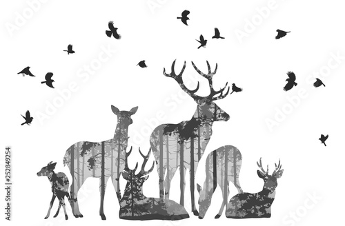 herd of deer with birds
