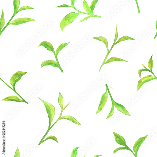 Watercolor pattern with green tea leaves