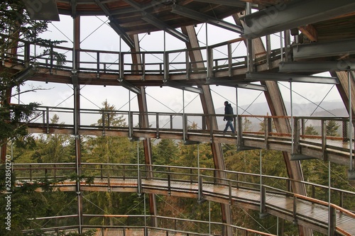 Wallpaper Mural The wooden treetop walk tower on the Baumwipfelpfad in the Bavarian forest national park, Germany, near the frontier of the Czech Republic. Europe. Torontodigital.ca