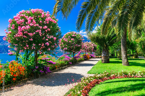 Fototapeta Naklejka Na Ścianę i Meble -  Lake Lago Maggiore - beautiful 