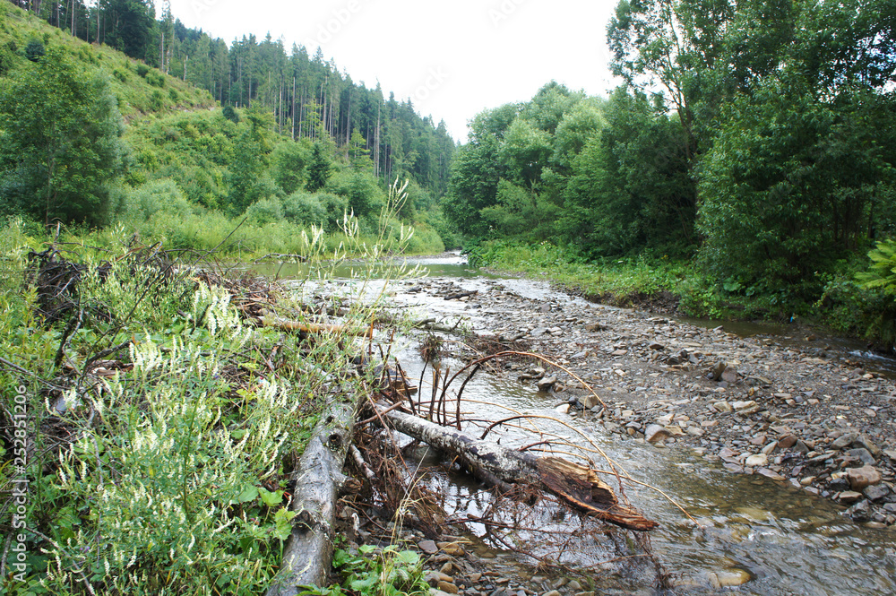 dirty river. water flow picture. stream and fallen tree Carpathians. Ukraine dirty river. water flow picture. stream and fallen tree Carpathians. Ukraine