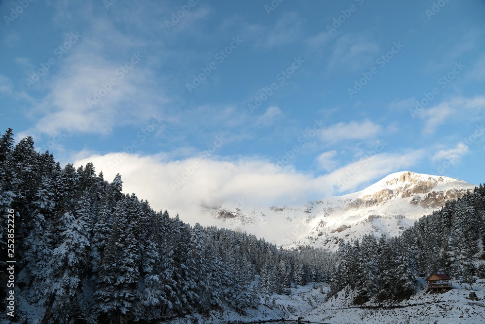 Borcka Karagol ( Black Lake ) in Artvin, Turkey Borcka Karagol ( Black Lake ) in Artvin, Turkey