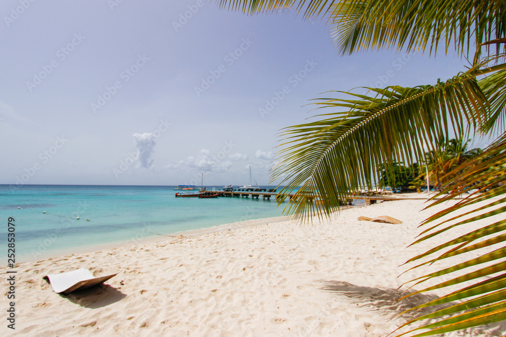 Caribbean landscape