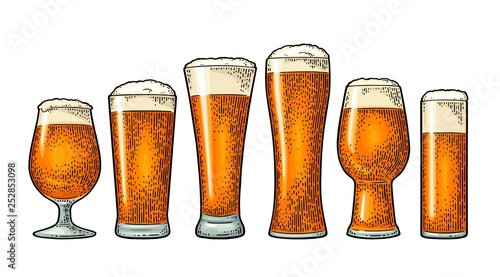 Different types beer glasses. Vintage color engraving