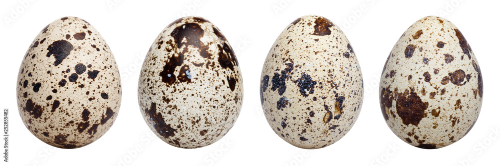 Set of quail eggs, isolated on white background Set of quail eggs, isolated on white background