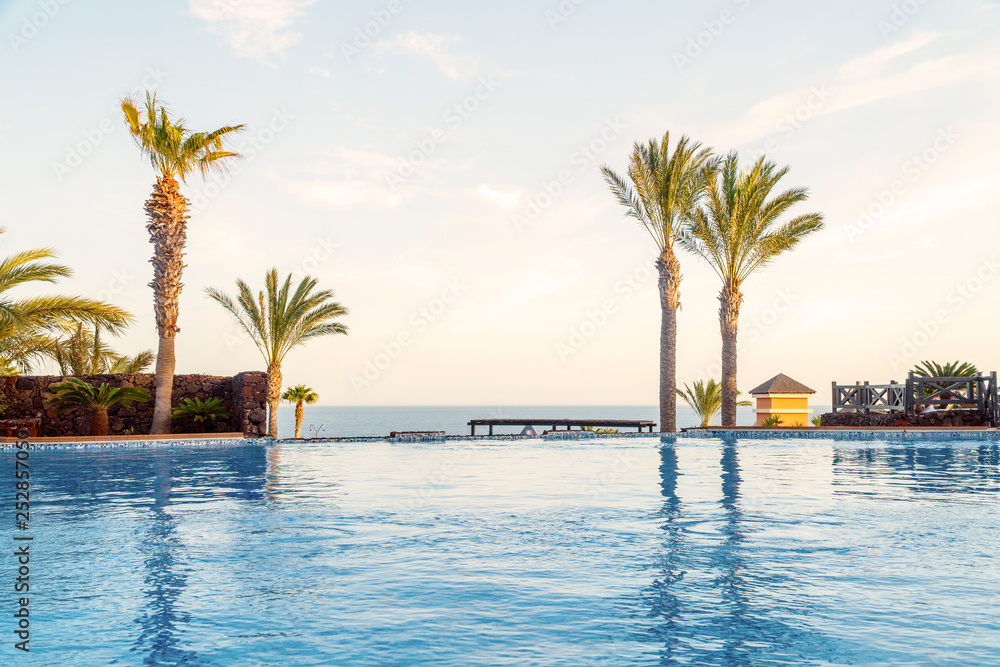 Swimming pool with palm tree and view of the ocean in a resort