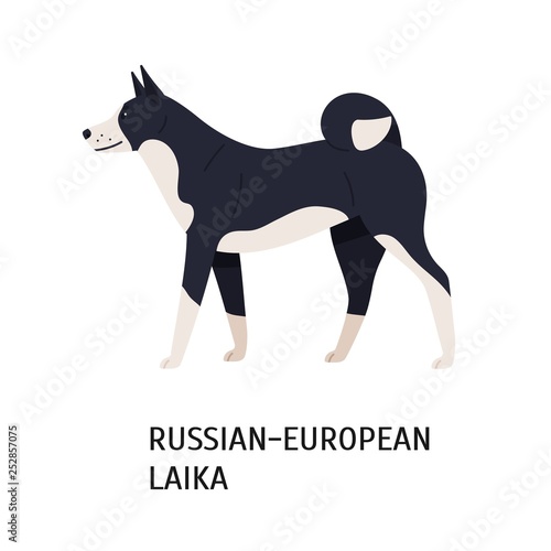 Russo-European Laika