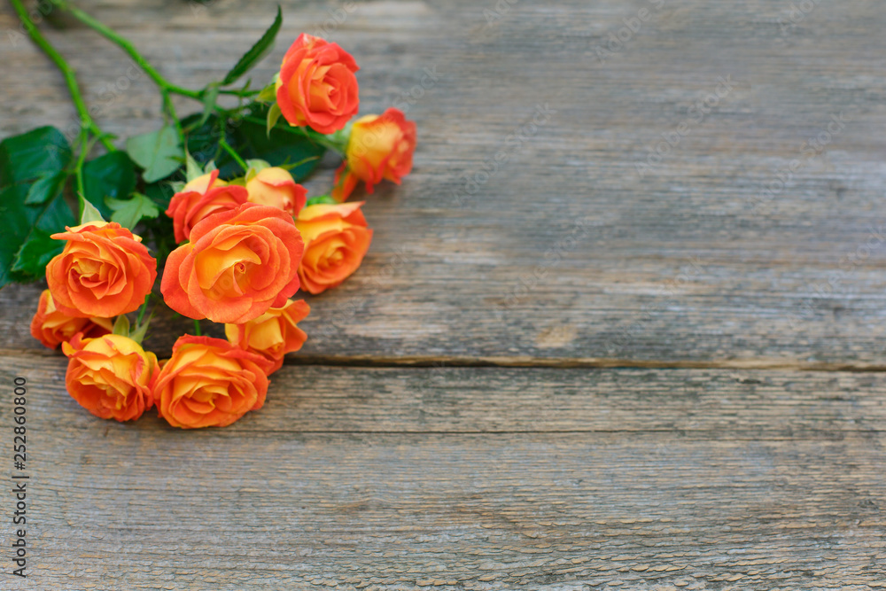 Background of a bouquet of beautiful fresh vivid orange roses tinged with red for celebrating an anniversary, birthday or Mothers Day