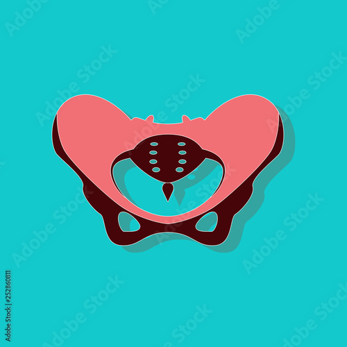 pelvic bones paper sticker on stylish background