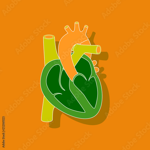 human heart paper sticker on stylish background