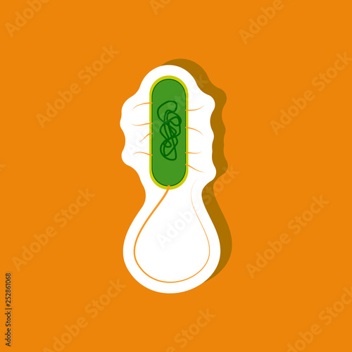 bacteria paper sticker on stylish background