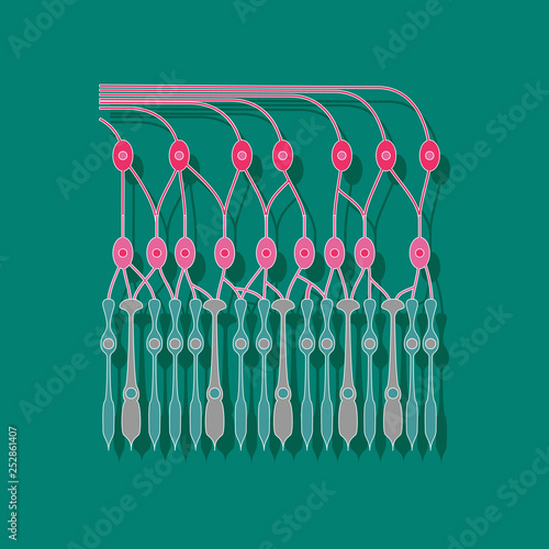 paper sticker on stylish background structure retina